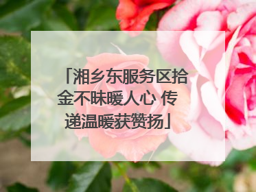 湘乡东服务区拾金不昧暖人心 传递温暖获赞扬