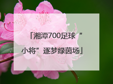 湘潭700足球“小将”逐梦绿茵场