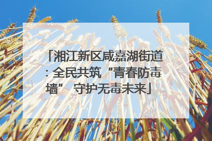 湘江新区咸嘉湖街道：全民共筑“青春防毒墙” 守护无毒未来