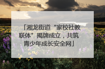 湘龙街道“家校社教联体”揭牌成立，共筑青少年成长安全网