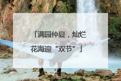 满园仲夏，灿烂花海迎“双节”