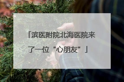 滨医附院北海医院来了一位“心朋友”