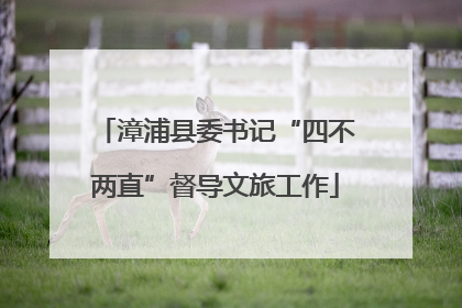 漳浦县委书记“四不两直”督导文旅工作