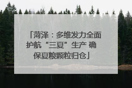 菏泽：多维发力全面护航“三夏”生产 确保夏粮颗粒归仓