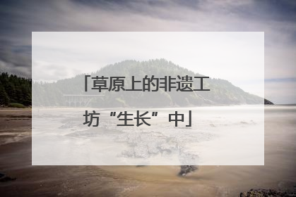草原上的非遗工坊“生长”中