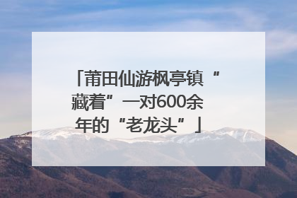 莆田仙游枫亭镇“藏着”一对600余年的“老龙头”