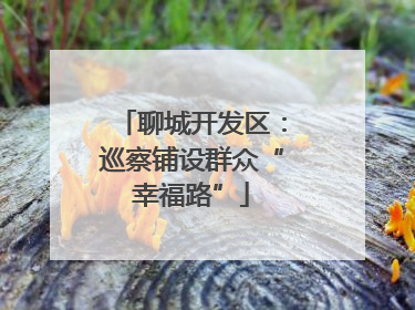 聊城开发区：巡察铺设群众“幸福路”