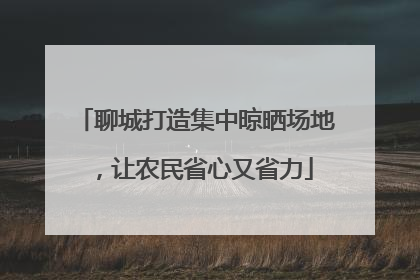 聊城打造集中晾晒场地，让农民省心又省力