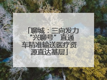聊城：三向发力 “兴聊号”直通车精准输送医疗资源直达基层