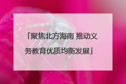 聚焦北方海南 推动义务教育优质均衡发展