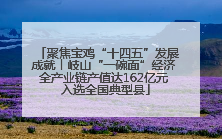 聚焦宝鸡“十四五”发展成就丨岐山“一碗面”经济全产业链产值达162亿元 入选全国典型县