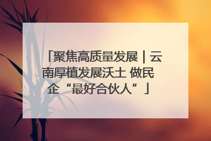 聚焦高质量发展｜云南厚植发展沃土 做民企“最好合伙人”