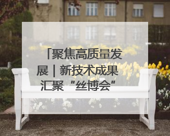 聚焦高质量发展｜新技术成果汇聚“丝博会” 为高质量发展注入新动能