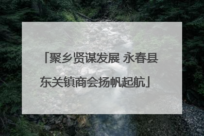 聚乡贤谋发展 永春县东关镇商会扬帆起航