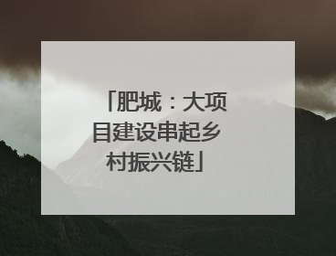 肥城：大项目建设串起乡村振兴链