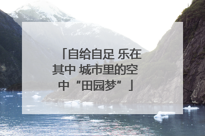 自给自足 乐在其中 城市里的空中“田园梦”