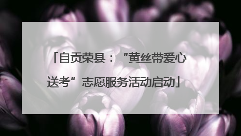 自贡荣县：“黄丝带爱心送考”志愿服务活动启动