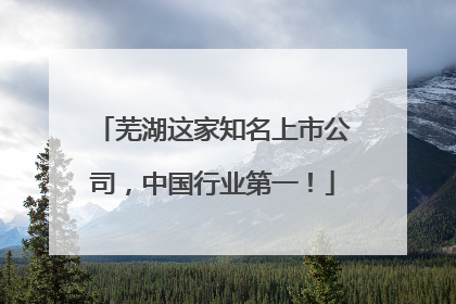 芜湖这家知名上市公司,中国行业第一!