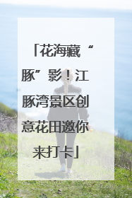 花海藏“豚”影！江豚湾景区创意花田邀你来打卡