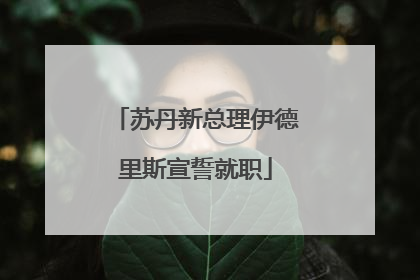 苏丹新总理伊德里斯宣誓就职