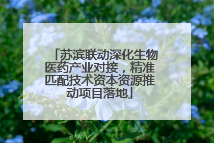 苏滨联动深化生物医药产业对接，精准匹配技术资本资源推动项目落地