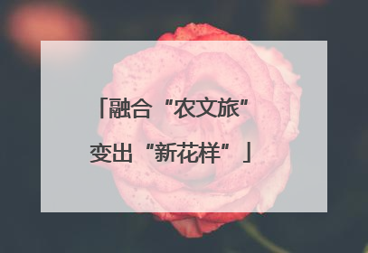 融合“农文旅” 变出“新花样”