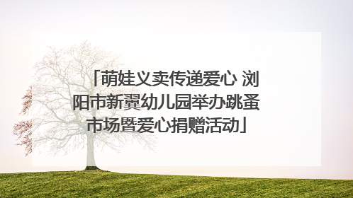 萌娃义卖传递爱心 浏阳市新翼幼儿园举办跳蚤市场暨爱心捐赠活动