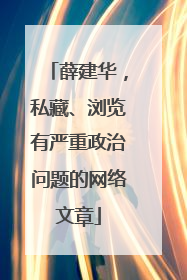 薛建华，私藏、浏览有严重政治问题的网络文章