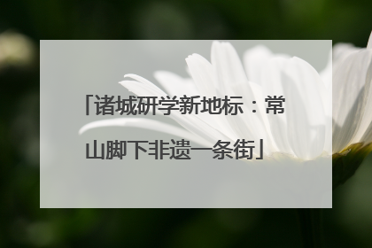 诸城研学新地标：常山脚下非遗一条街