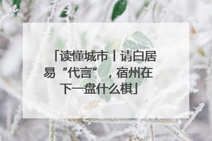 读懂城市丨请白居易“代言”，宿州在下一盘什么棋
