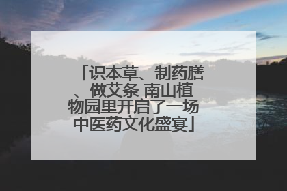 识本草、制药膳、做艾条 南山植物园里开启了一场中医药文化盛宴