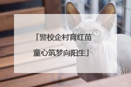 警校企村育红苗 童心筑梦向阳生