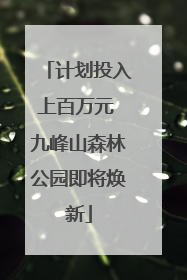 计划投入上百万元 九峰山森林公园即将焕新