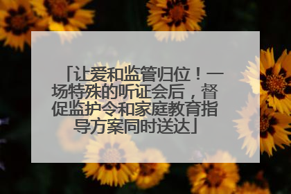 让爱和监管归位！一场特殊的听证会后，督促监护令和家庭教育指导方案同时送达