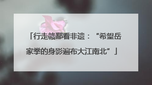 行走赣鄱看非遗：“希望岳家拳的身影遍布大江南北”