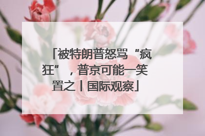被特朗普怒骂“疯狂”，普京可能一笑置之丨国际观察