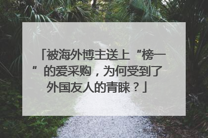 被海外博主送上“榜一”的爱采购，为何受到了外国友人的青睐？