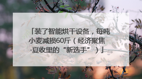 装了智能烘干设备，每吨小麦减损60斤（经济聚焦·夏收里的“新选手”）