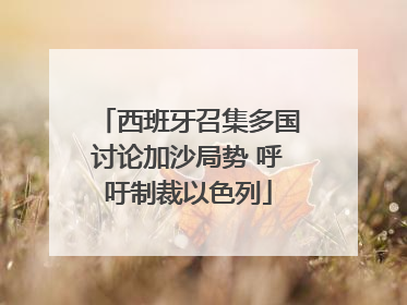 西班牙召集多国讨论加沙局势 呼吁制裁以色列