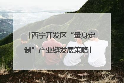 西宁开发区“量身定制”产业链发展策略