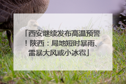 西安继续发布高温预警！陕西：局地短时暴雨、雷暴大风或小冰雹
