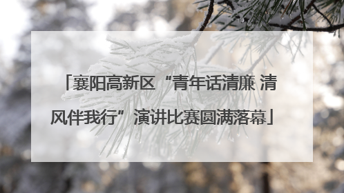 襄阳高新区“青年话清廉 清风伴我行”演讲比赛圆满落幕