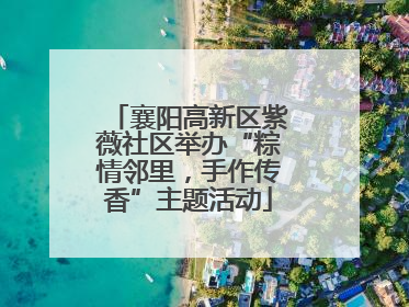 襄阳高新区紫薇社区举办“粽情邻里，手作传香”主题活动