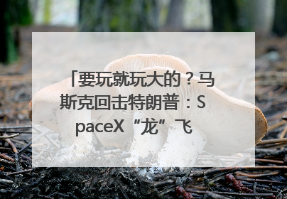 要玩就玩大的？马斯克回击特朗普：SpaceX“龙”飞船将立即退役！
