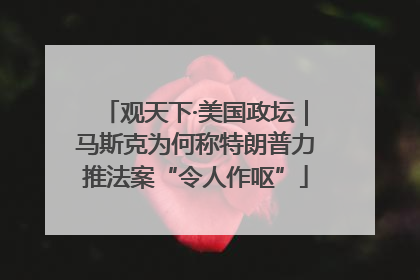 观天下·美国政坛｜马斯克为何称特朗普力推法案“令人作呕”
