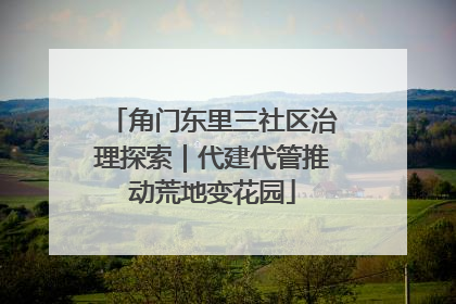 角门东里三社区治理探索｜代建代管推动荒地变花园