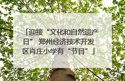 迎接“文化和自然遗产日” 郑州经济技术开发区肖庄小学有“节目”