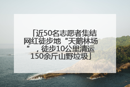 近50名志愿者集结网红徒步地“天鹅林场”,徒步10公里清运150余斤山野垃圾
