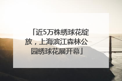 近5万株绣球花绽放，上海滨江森林公园绣球花展开幕