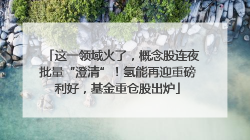 这一领域火了，概念股连夜批量“澄清”！氢能再迎重磅利好，基金重仓股出炉